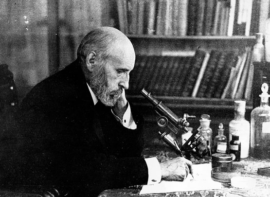 ramon-y-cajal ramon y cajal