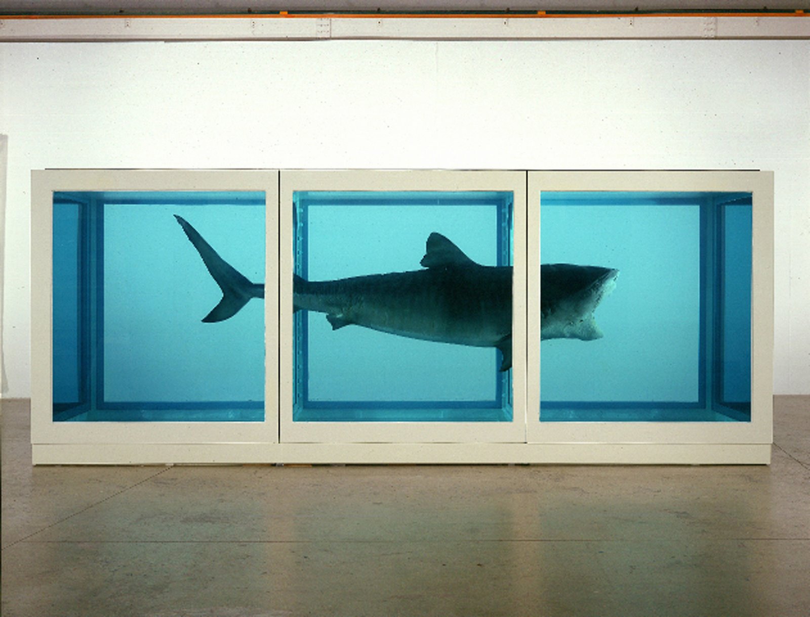 3 DamienHirst ThePhysicalImpossibilityofDeath 7275481