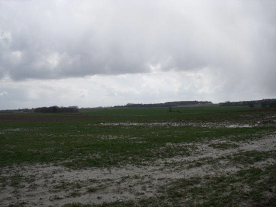 Waterloo Lluvia Waterloo Lluvia