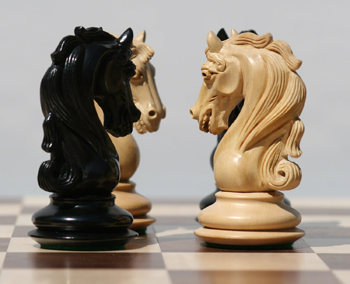Caballos Caballos