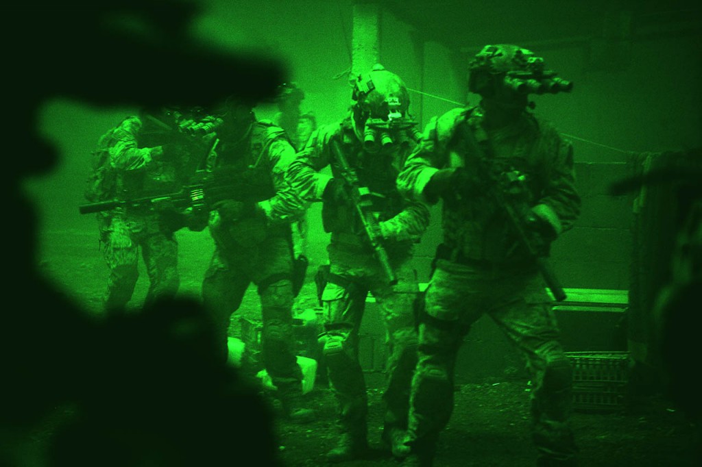 Zero Dark Thirty (6)