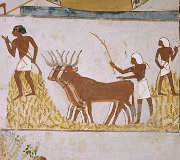 La granja, elemento básico del retorno al Nilo.