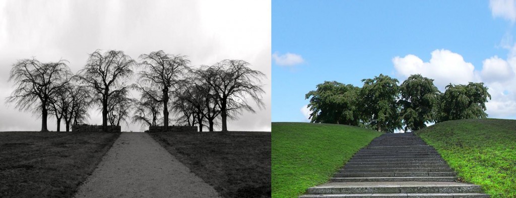 El cementerio del bosque en Estocolmo: un paseo al borde de la vida 10 Subida y bajada de la Colina de la Meditación. Fotografías de Peter Hellberg y Tobias Lindman.