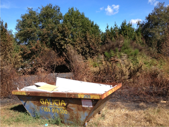 Pero ¿por qué carallo arde Galicia? 3 Foto2