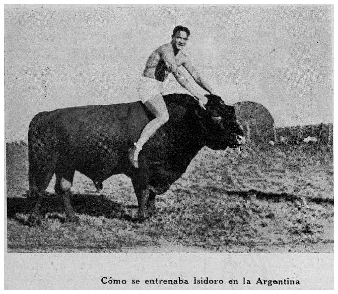 1929 Mayo 218 revist boxeo con toro