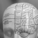 El cerebro económico