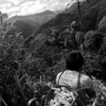 La&nbsp;&uacute;ltima cultura prehisp&aacute;nica