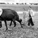 No queremos ser pobres, Almudena