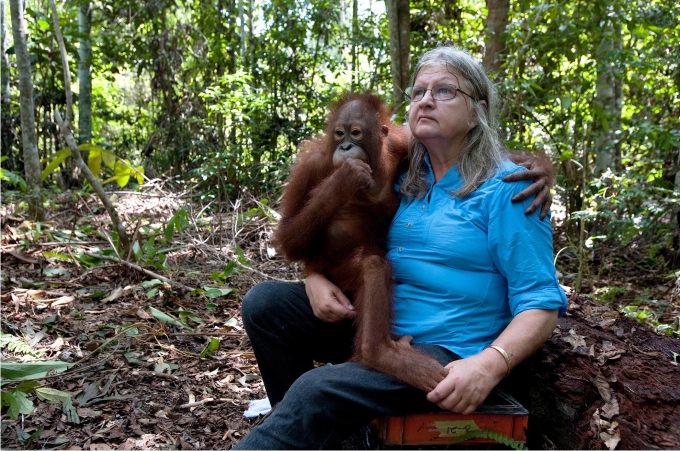 Viviendo entre simios (I): Biruté M. F. Galdikas 1 Biruté Galdikas en Borneo