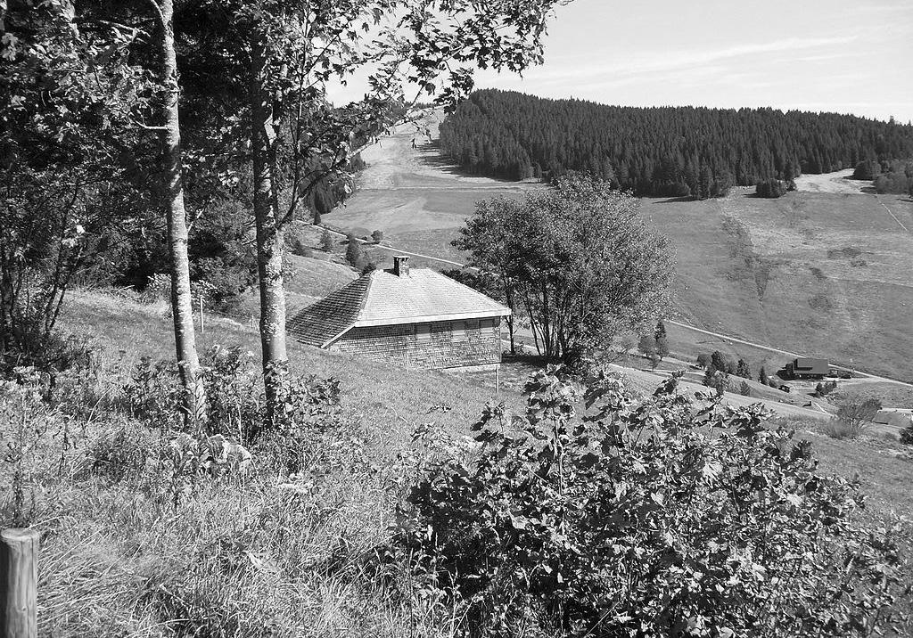 La cabaña de Martin Heidegger. Foto de Muesse (CC)