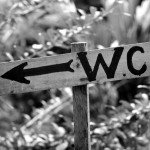 C&oacute;mo cambiar la sociedad usando el retrete