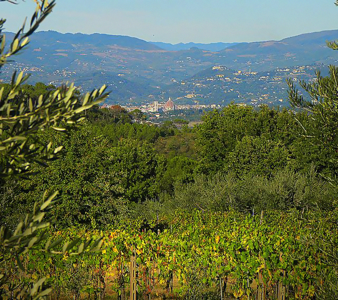 Vista de Florencia desde SantAndrea in Percussina foto de Tania Calamassi.