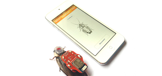 Las mayores locuras financiadas mediante crowdfunding 8 72