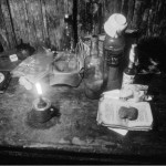 La enredadera de los muertos: en brazos de la madre ayahuasca