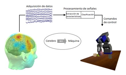 Esquema de la comunicación cerebro-máquina (adaptado por el autor)