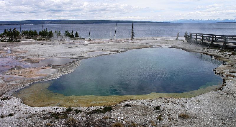 La deuda de la genética con Thomas D. Brock 3 Manantial de la West Thumb Geyser Basin