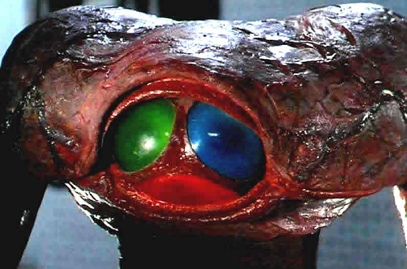 ¿Cuál es el extraterrestre más feo? 2 mundos