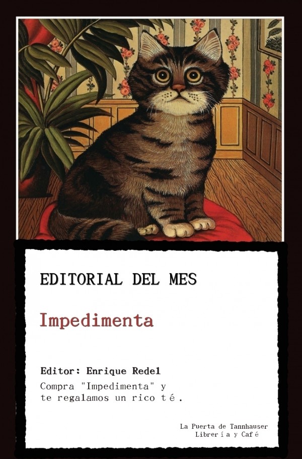 gato puerta