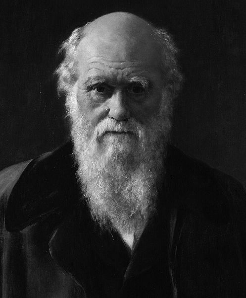 Charles Darwin, por John Collier. (DP)