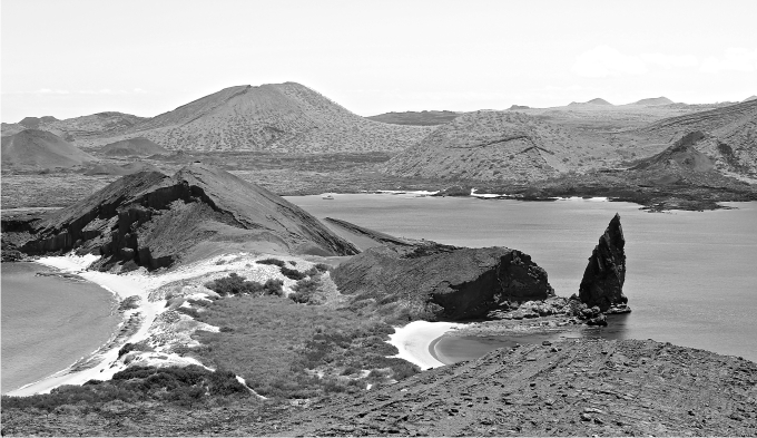  Vista de la Isla de San Bartolomé. Foto: Joaquín Mencía. 