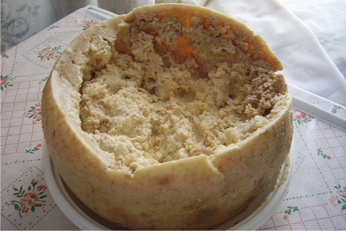 El casu marzu, delicioso queso típico de Cerdeña, conocido por el uso de larvas vivas de mosca para su fermentación. Foto: Shardan (CC)
