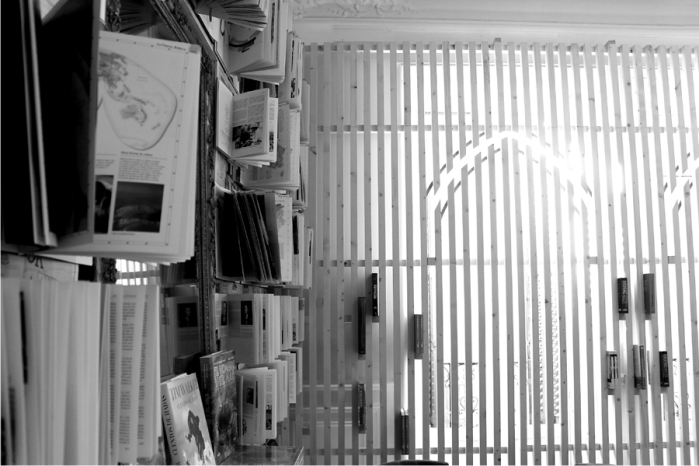 Madrid a la fresca 5 Fotografía: Ángel Javier Kodak.
