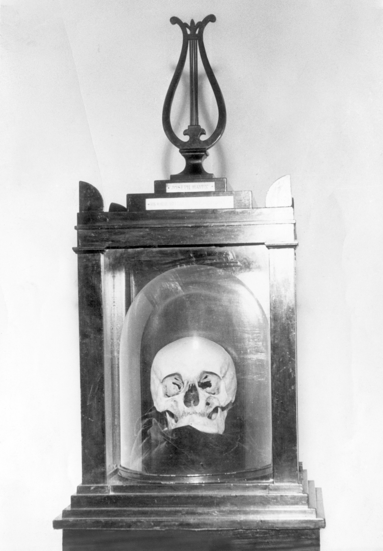 Cráneo de Franz Josef Hadyn. Imagen: Corbis