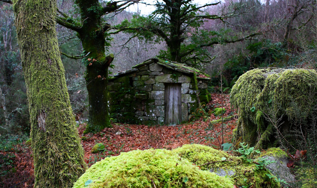 Una historia de horror en Galicia 2 Fotografía: Gabriel González (CC)