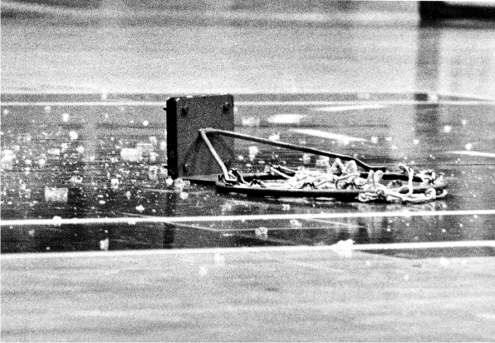 Inocencia y salvajismo en Darryl Dawkins 1 Spectrum, Philadelphia, 5/XII/1979. Foto: Steve Mix Archive (CC)