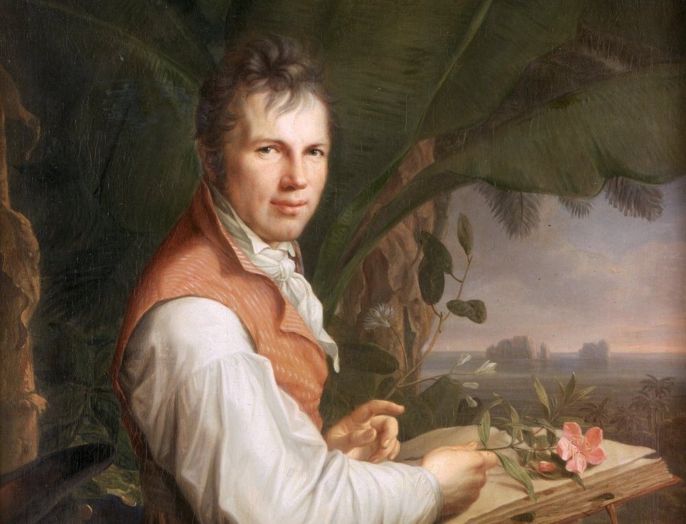 Bitácora improbable del curioso Alexander von Humboldt 1 Alexander von Humboldt retratado por Friedrich Georg Weitsch, 1806. Imagen: DP.