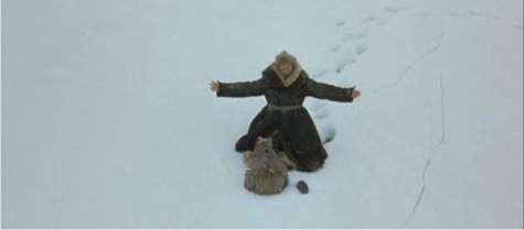 ¿Cuál es la mejor película sobre supervivencia? 9 Imagen de Cascadeur Filmproduktion.