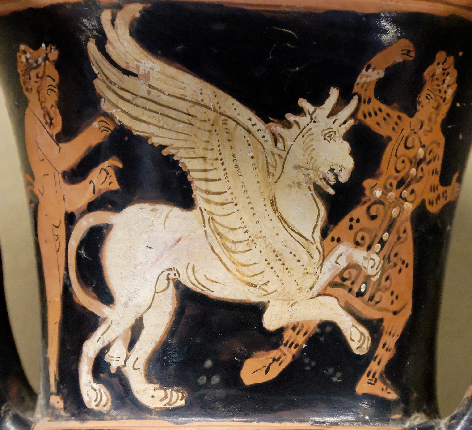 Terra incognita 2 Satyr_griffin_Arimaspus_Louvre_CA491