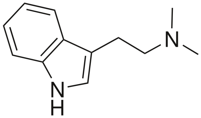 N,N-dimetiltriptamina (DP)