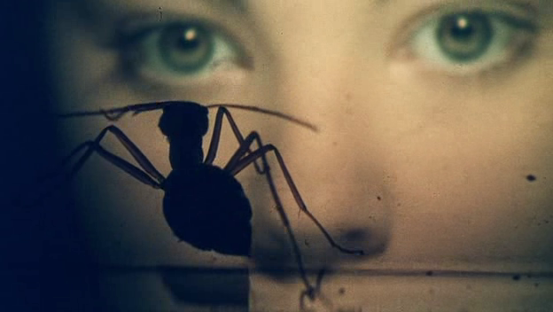 Saul Bass, las hormigas y los cinco minutos perdidos 1 piv1