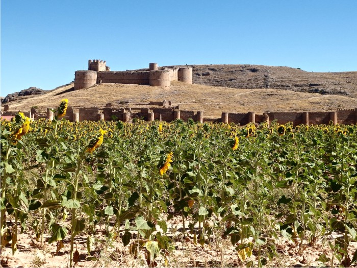 Castillo de Berlanga de Duero.