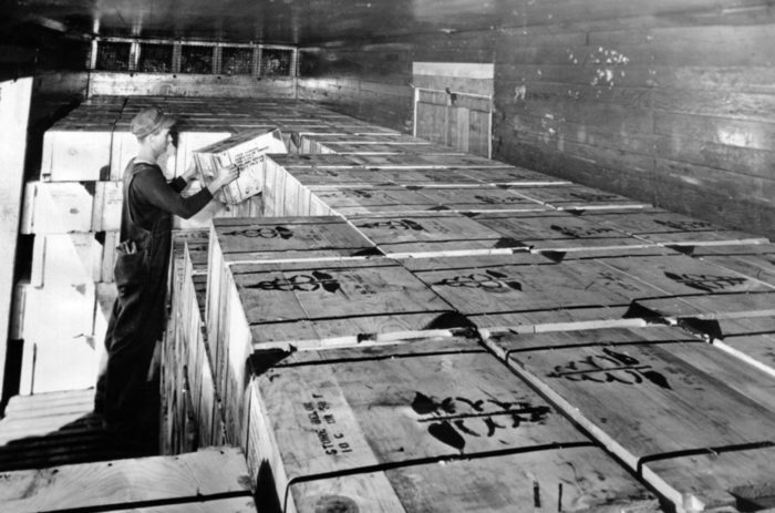 Worker loading the first full box carload shipment of penicillin in Sept. 1944. In June 1942 the total supply would treat only 10 patients. Penicillin was first tested for military use in the spring of 1943, and with mass production, it was used in combat zones by autumn 1943. (CSU_ALPHA_1102) CSU Archives/Everett Collection