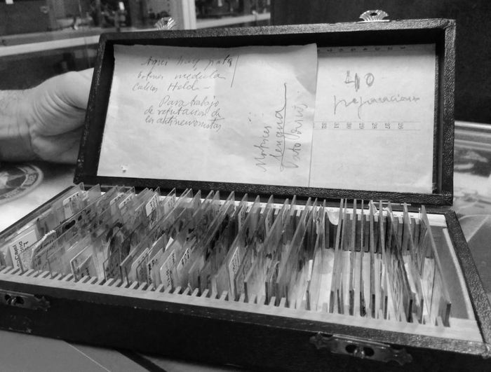 «Para trabajo de refutación de los antineuronistas», puede leerse en esta caja de preparaciones histológicas que se conserva en el Legado de Cajal. Imagen: Ángela Bernardo.