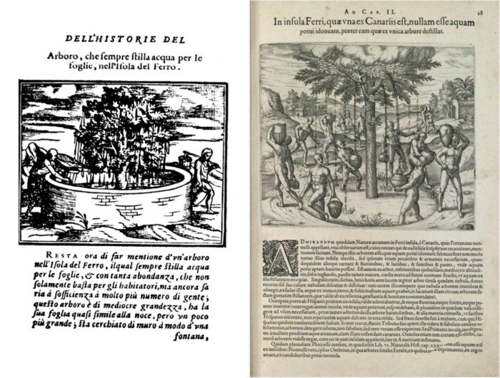 Grabados del Garoé, Benzoni 1572 y de Bry 1596. (1)