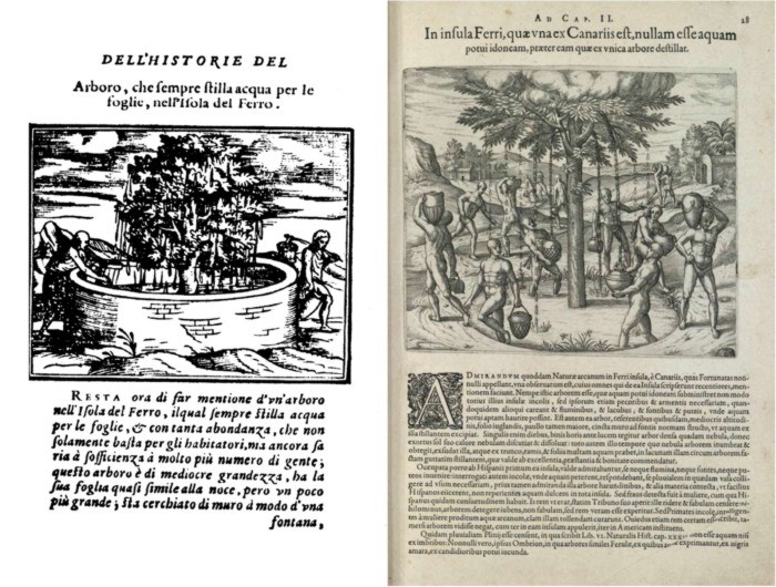 Árbol fuente, el Garoé 2 Grabados del Garoé, Benzoni 1572 y de Bry 1596. (1)