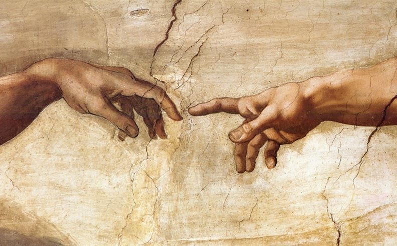 Carrère, Dios, Houellebecq 1 oie IN7kLOWyN0tK