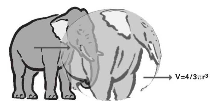 Fig. 2 Elefante esferico