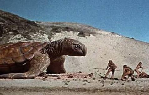 ¿Cuál es el animal más espeluznante visto en una película de serie B? 15 16