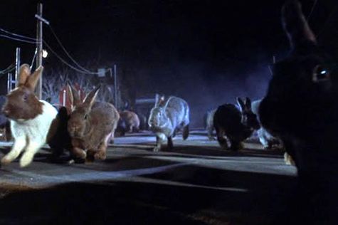 ¿Cuál es el animal más espeluznante visto en una película de serie B? 5 5