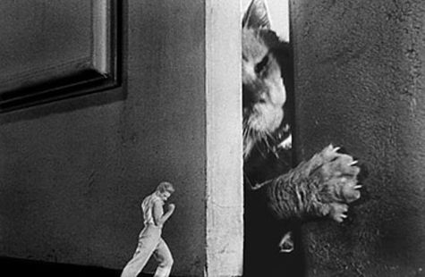 ¿Cuál es el animal más espeluznante visto en una película de serie B? 8 8