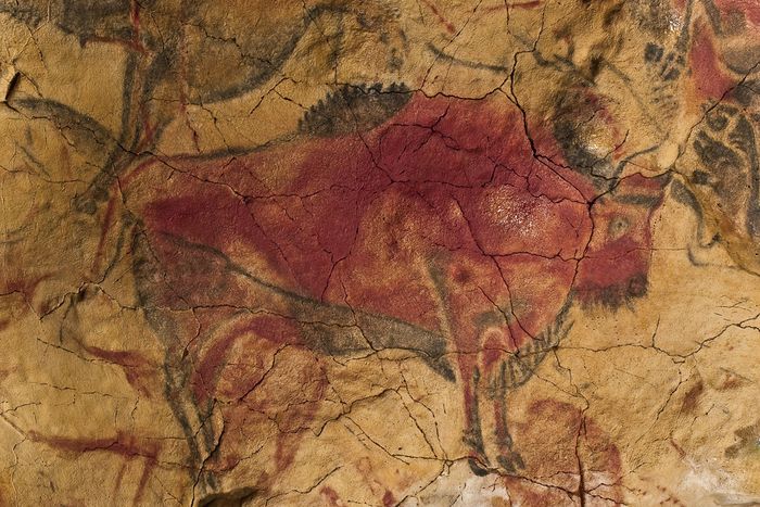 La influencia del clima en los comportamientos culturales de la humanidad 1 9 Bisonte Magdaleniense polícromo