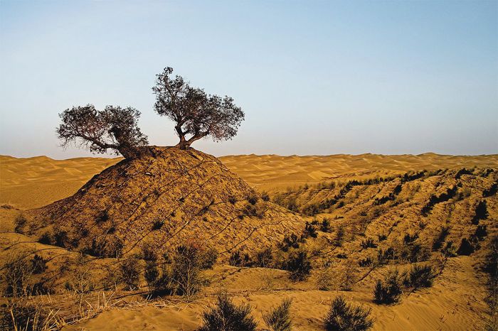 Taklamakán: biografía del desierto 2 61761442 e793bdb70e b