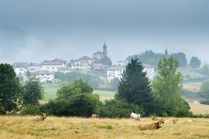 Beintza Labaien in the mist Basque Country Spain. Photo by Tim Graham getty