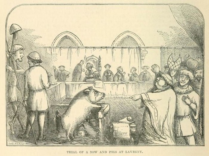 Pena capital animal 2 oie 30173259fRaMBTuV