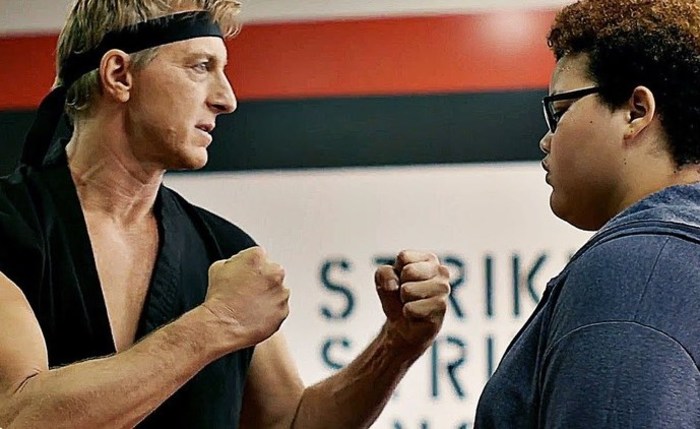 Hágase un favor y vea el retorno de Karate Kid 2 oie iQDfcavWXKUZ