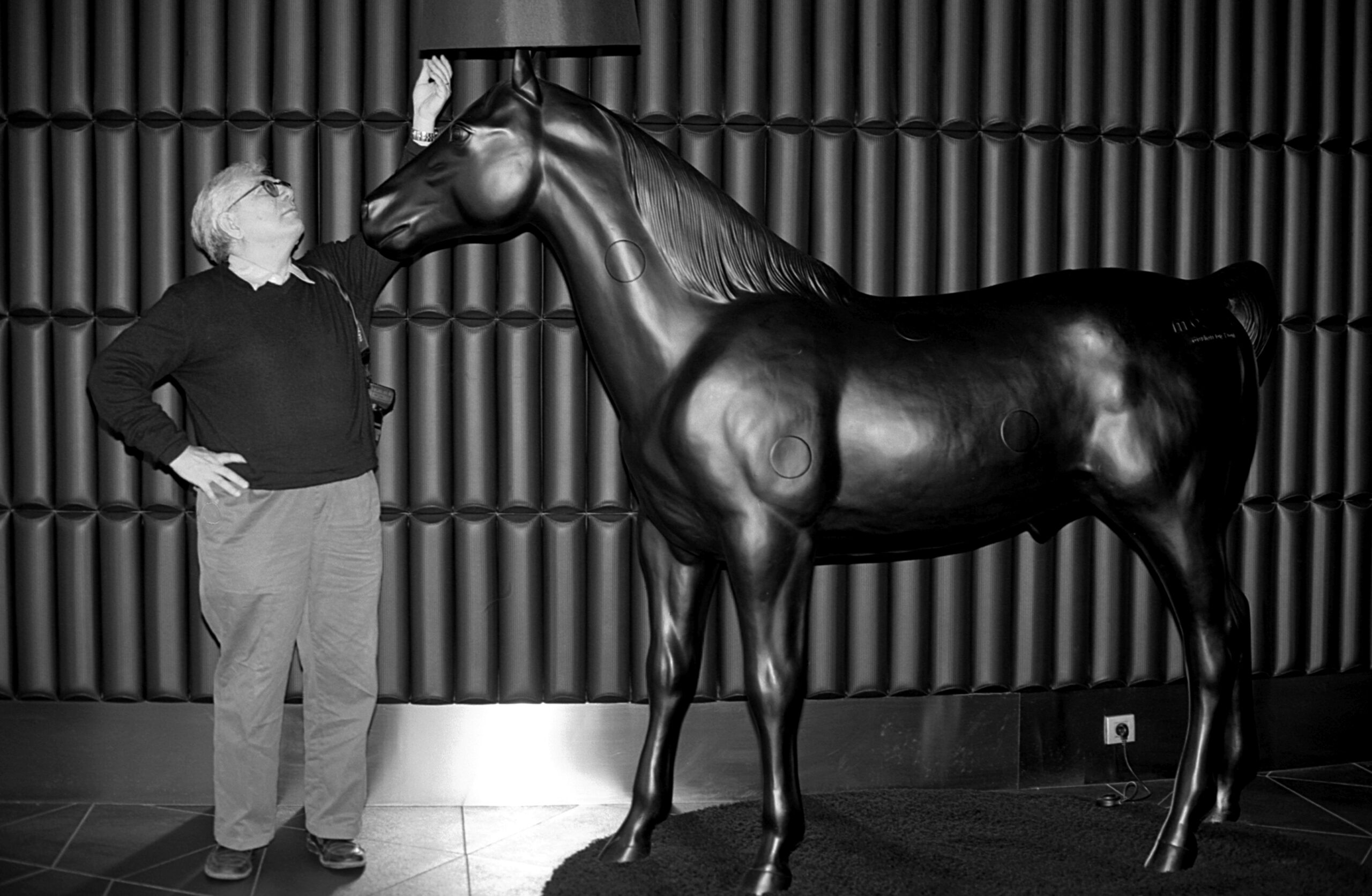 5772634881 66dc195eef o scaled